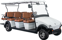 XP6+2 (8 seater)