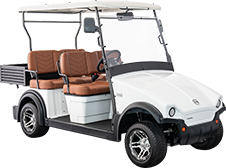 XP4+C (4 seater + cargo)